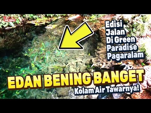 Green Paradise Pagaralam (Part 2 dari 2) | Jalan-Jalan ke Alam Hijau Pegunungan