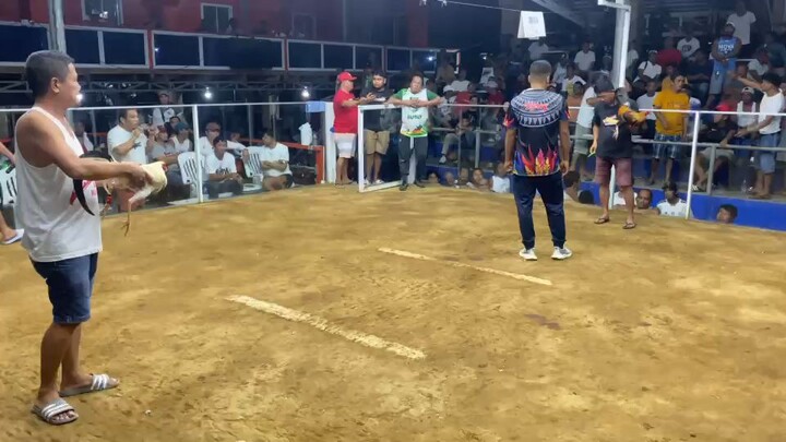 Sanino White J-ES GF