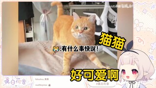 日本萝莉看《有些猫已经把自己当人了!》当场绷不住了！“猫猫真厉害啊！！！”