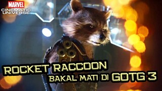 Sedih ! Rocket Raccoon Bakal Mati Di Guardians of The Galaxy Vol. 3 !!