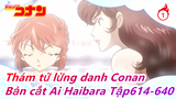 [Thám tử lừng danh Conan] Bản cắt Ai Haibara Phần 11, Tập614-640_1