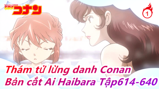 [Thám tử lừng danh Conan] Bản cắt Ai Haibara Phần 11, Tập614-640_1