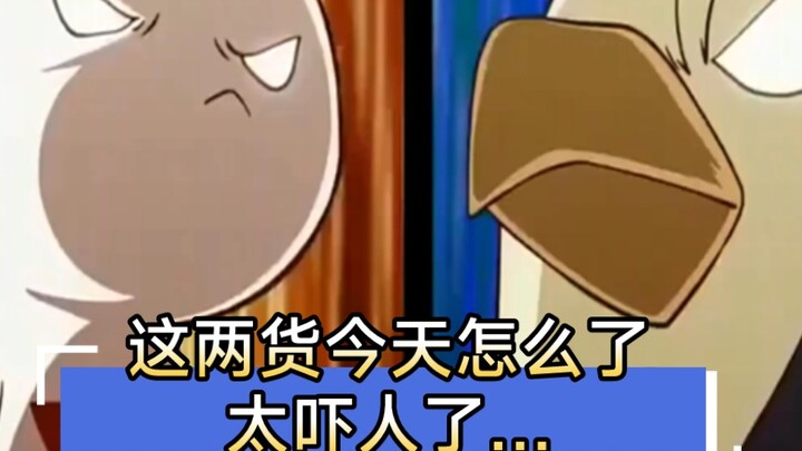 兔子和鹰酱“友好谈判”后，白象打招呼差点被吓尿…