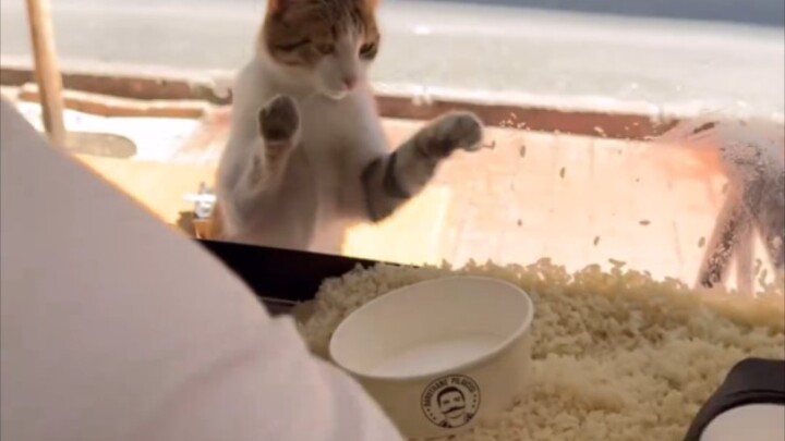 Yumi's All-You-Can-Eat Economy