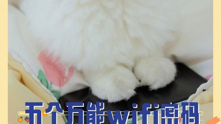 5 Super-Useful WiFi Passwords You Need to Save—Stay Connected to Free WiFi Anytime When You’re Out!