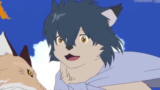 แฟน Dao ทุกคนตั้งแต่ปี 2000 ล้วนเป็นแฟนคลาสสิก วันละหนึ่งคน