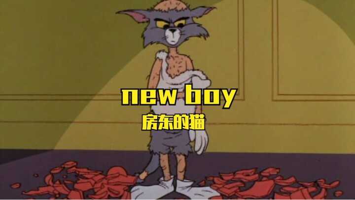 房东的“猫”《New Boy》