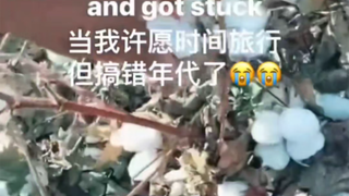 哈哈哈哈哈哈地狱笑话，太抽象了