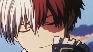 sedang mencari sesama todoroki lovers(｡･ω･｡)