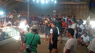 Cawayan Tupada (Win)