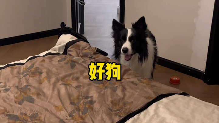 What a day this is…