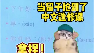【มีมแมว】เมื่อหลิวจื่อคว้าวิชาเลือกภาษาจีน...
