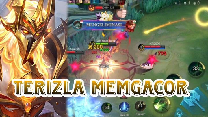 TERIZLA MEMGACOR