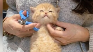 "This...this is so cute!!"