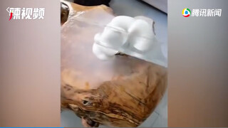 男子七天没去办公室 回去一看木制茶台竟然长了蘑菇