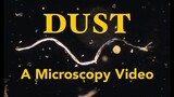 What is Dust? A Microscopy Video | #amateurmicroscopy #microscopy #documentary