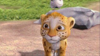 Hành Trình Đến Delhi 2013