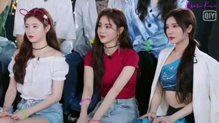 YWY2 Yu Yan Cat Lion