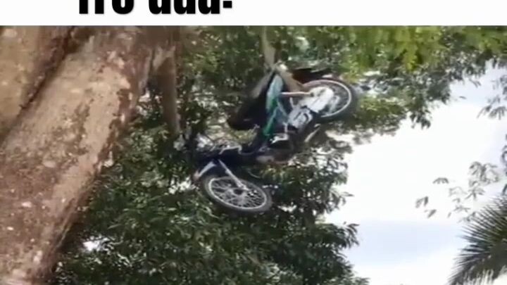 trò đùa: