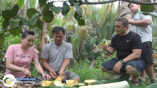 Cây Nhà Lá Vườn Hương Vị  Miền Quê | Hội Ngộ Miền Tây - Tập 381