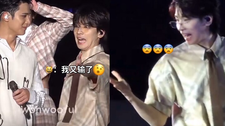 Seekor kucing kecil yang terus-menerus ditikam dari belakang kkkkkkkkkk【SEVENTEEN】【semua Wonwoo】【Kim
