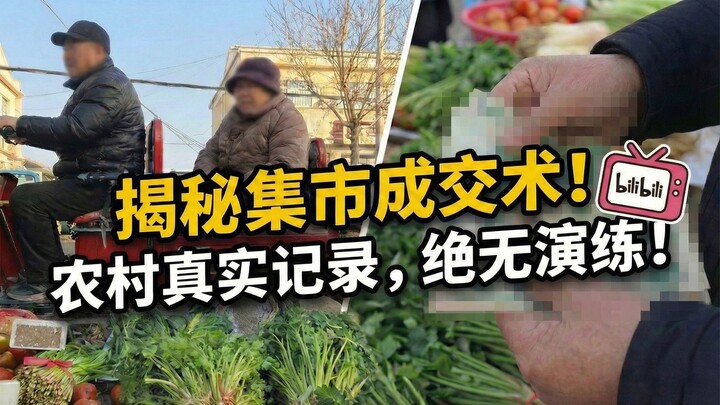 College Grad Job Guide: Returning Home to Set Up a Stall and Sell Vegetables (Market Sales Mastery P