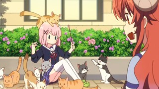 Udang kering, dengarkan quibbles saya dulu