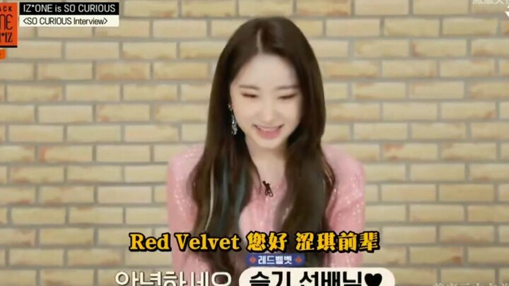 【IZ*ONE x Red Velvet】Siapakah selebriti yang mereka kagumi? Chae Yeon dengan malu-malu mengaku kepad
