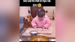 Bao giờ nó mới đi học hả sen ! 😓thucung yeudongvat pet animals foryou fyp dongvathaihuoc thucungvuinhon