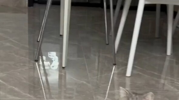 What are you staring at? I’m not gonna scare you, kid!