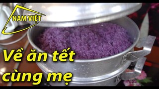 Đừng mang tiền cho mẹ - Chỉ cần con về bên mẹ [ Nam Việt - không số ]