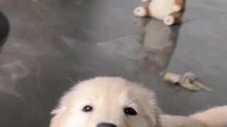 ถ้าไม่แต่งงานแล้วตอนแก่ใครจะดูแลคุณ? ผม: โปรดดูวิดีโอ