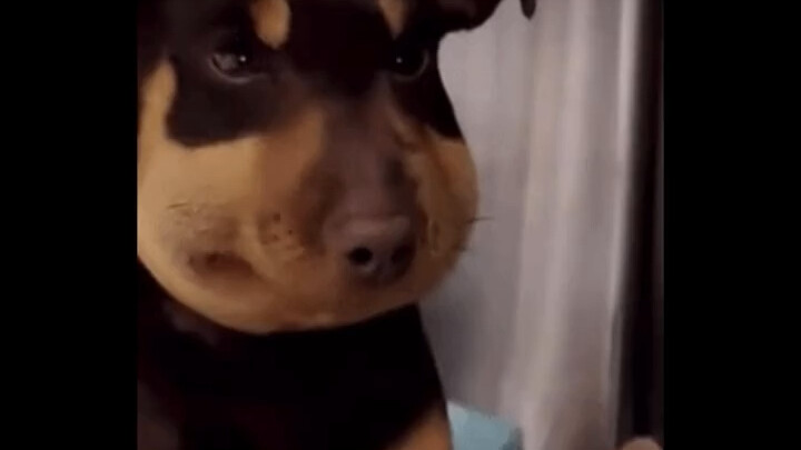 Seeing a handsome guy in the social news