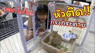 ออกไม่ได้! หัวติดในกรงกระต่าย!! | ละครสั้นหรรษา | แม่ปูเป้ เฌอแตม Tam Story