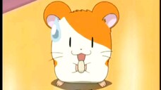 Hamtaro Episode 38 The Precious Letter