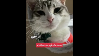 ไหนใครเป็นบ้าง 😅