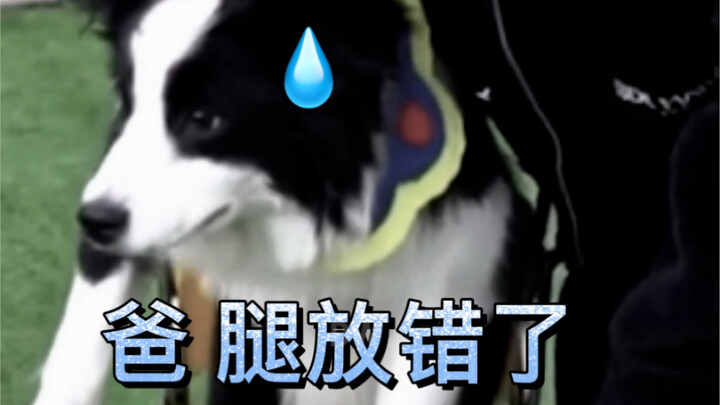 مغامرات الماوس الصغير