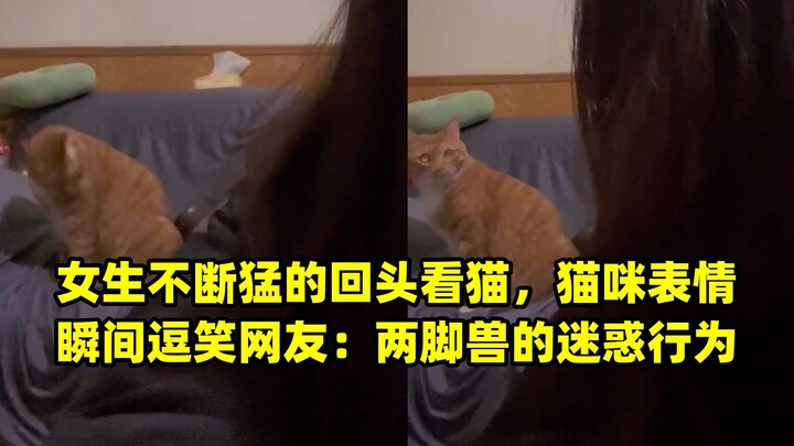 Girl keeps glancing back at the cat; the cat’s expression instantly cracks up netizens: “The bafflin
