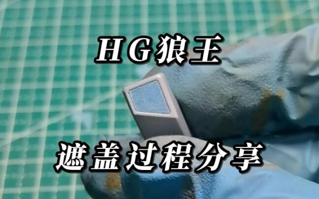 HG狼王遮盖过程分享