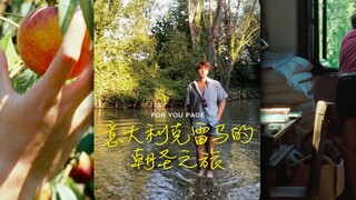 不如我们去意大利的克雷马，去追寻那个夏天的遗憾....