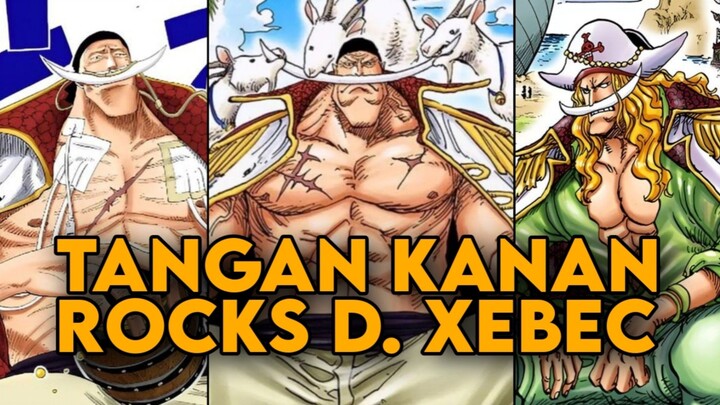 WAKIL KAPTEN BAJAK LAUT ROCKS