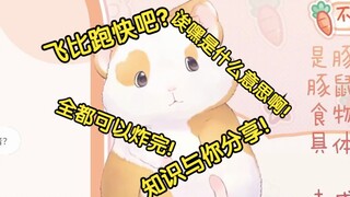 花玲：用方言（莆田话）读原神台词？这完全听不懂呀！【花玲片2】