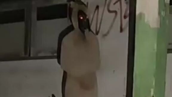 Penampakan hantu pocong terekam kamera