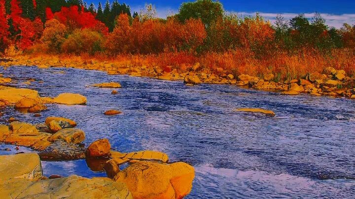 Fucos lang sa pangarap