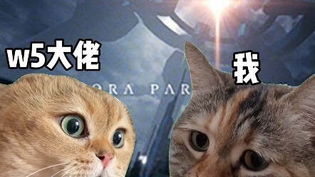 当萌新的我想开潘时