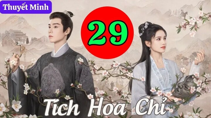 TÍCH HOA CHỈ - Tập 29 (Thuyết Minh) | Trương Tịnh Nghi & Hồ Nhất Thiên