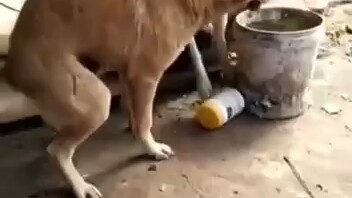 Kinh điển trong kinh điển: Yêu đến chết cũng không hối hận