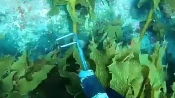 感谢大自然的投喂系列_1