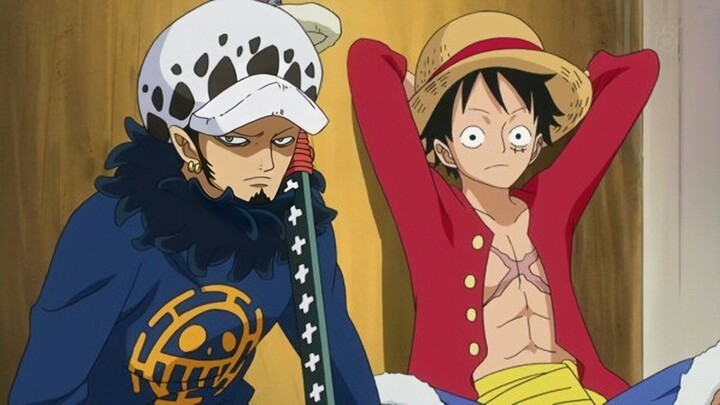 Sabar Banget Law Ngadepin si Luffy 🤣