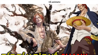 Tất tần tật về năng lực và sức mạnh của Shank _ Giả Thuyết _ 1